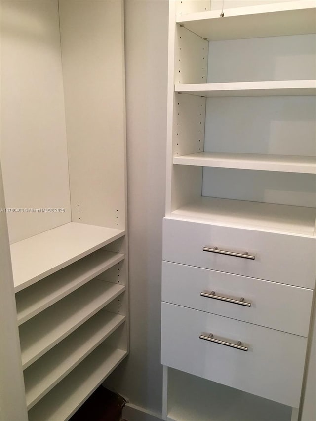 view of walk in closet