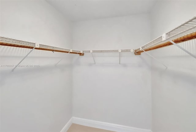 view of spacious closet