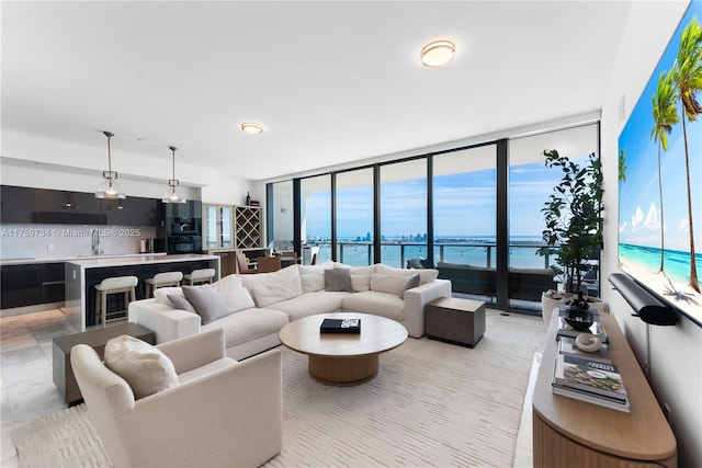 living area with floor to ceiling windows, a healthy amount of sunlight, and a water view