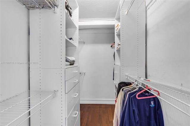 walk in closet featuring wood finished floors