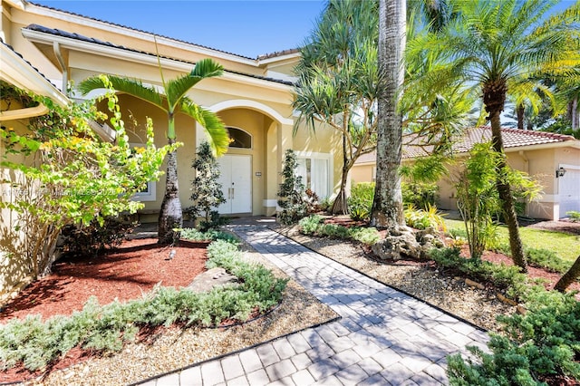 doorway to property with stucco siding and a tiled roof