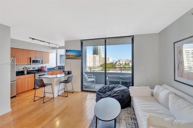 living room featuring expansive windows, a view of city, rail lighting, and light wood finished floors