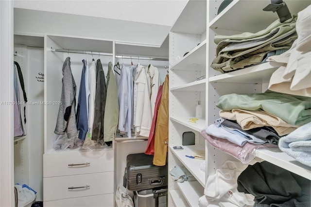 view of walk in closet