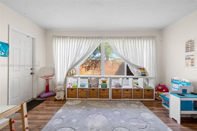 recreation room with wood finished floors