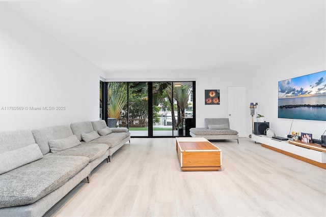 living room featuring light wood-type flooring