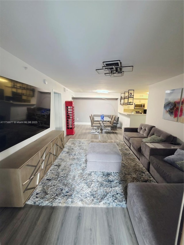 living area featuring wood finished floors