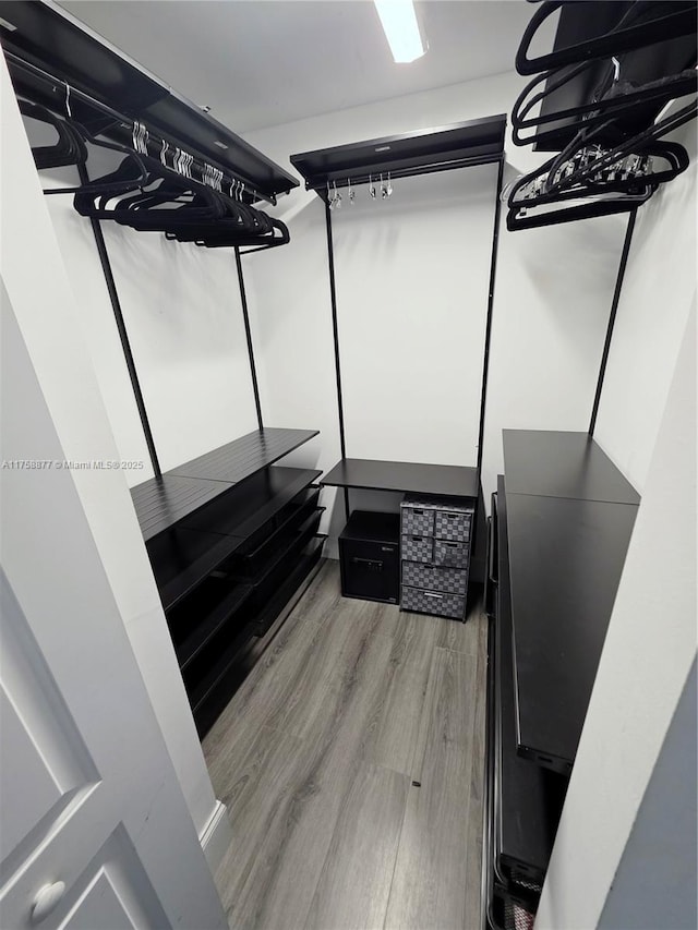 spacious closet featuring light wood-type flooring