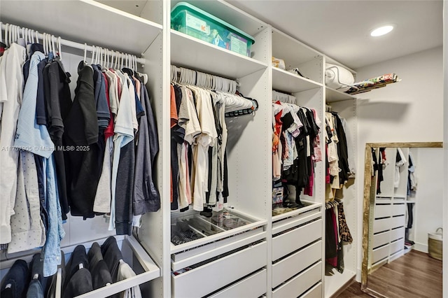 walk in closet with wood finished floors