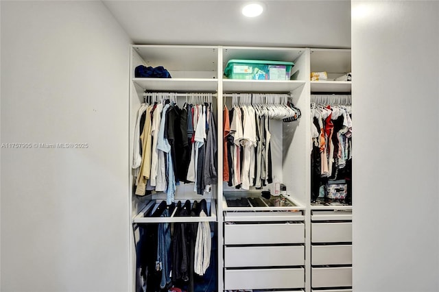 view of closet