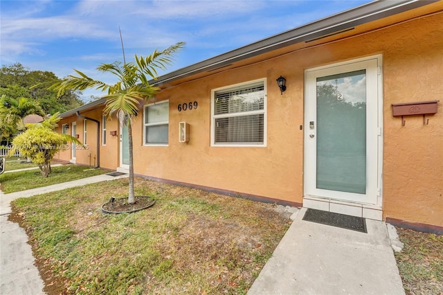 doorway to property featuring stucco siding and a lawn