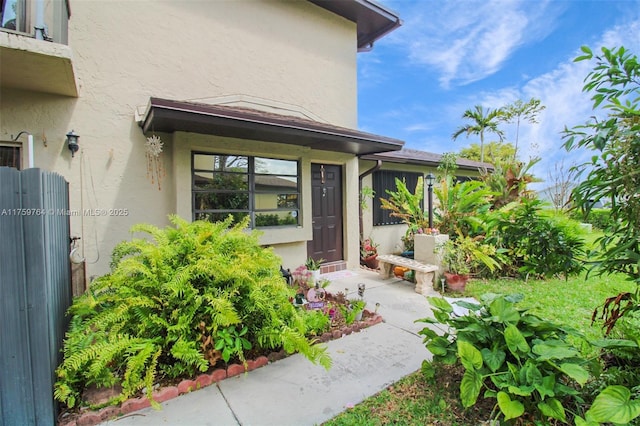 doorway to property featuring stucco siding