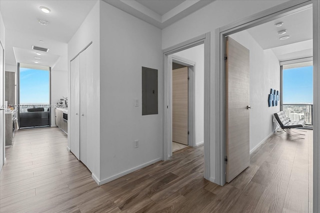 hall featuring a wall of windows, electric panel, visible vents, and light wood-type flooring