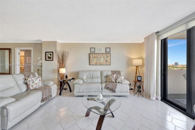 living area featuring ornamental molding and a textured ceiling