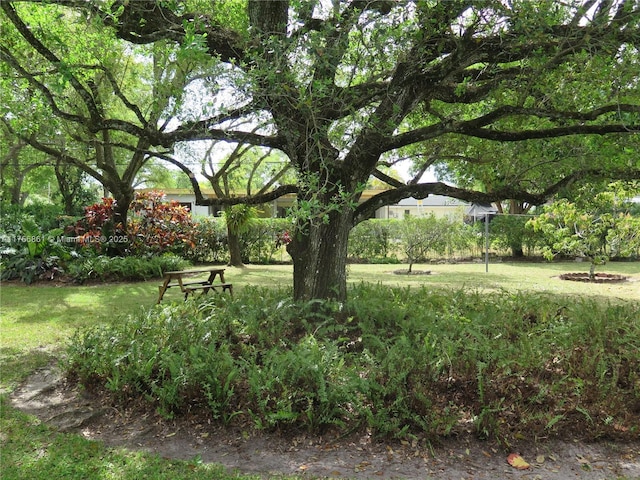 surrounding community featuring a yard