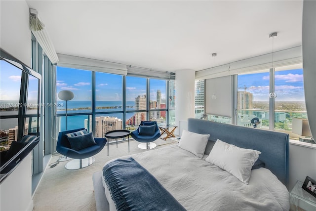 bedroom featuring access to outside, a city view, carpet flooring, and a water view