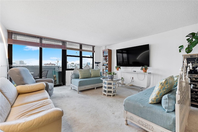 carpeted living room with a textured ceiling and a healthy amount of sunlight