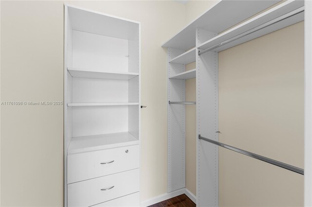 spacious closet with dark wood-type flooring