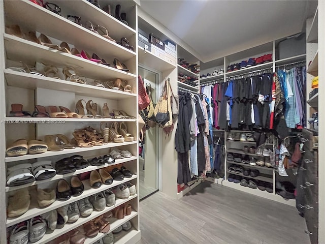 11300 SW 107th Ave, Miami, FL 33176 - walk in closet with wood finished floors