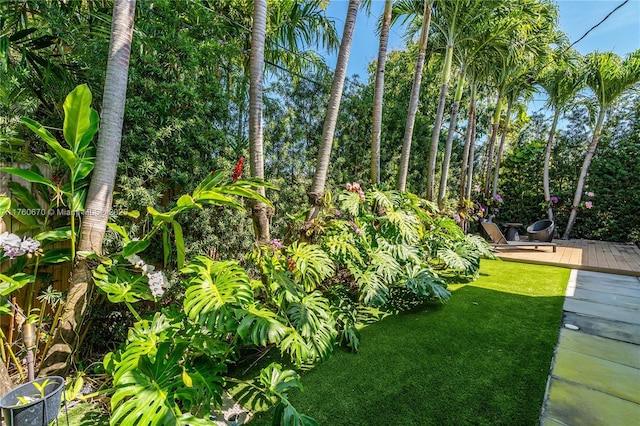 view of yard featuring a wooden deck