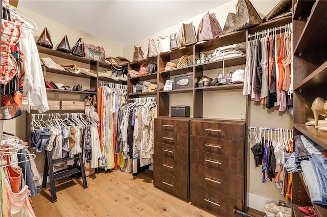 walk in closet featuring wood finished floors