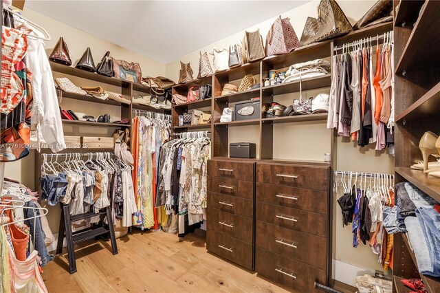 walk in closet featuring wood finished floors