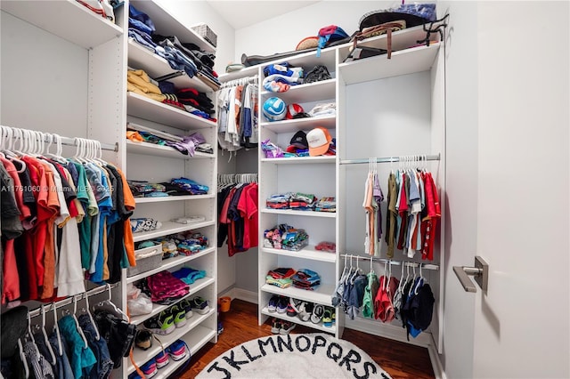 spacious closet featuring wood finished floors