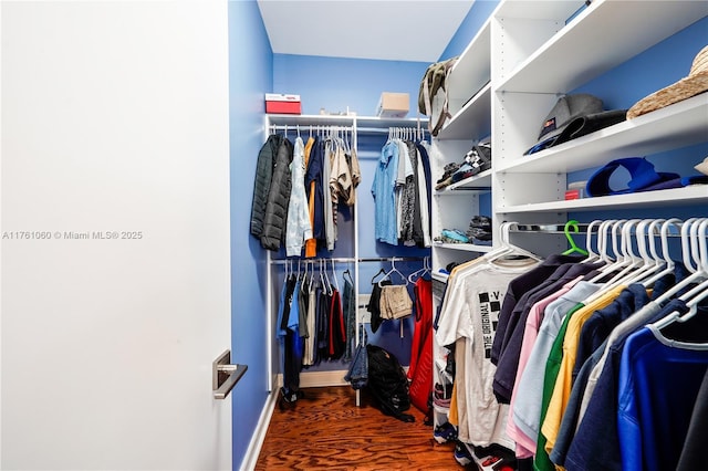 spacious closet featuring wood finished floors