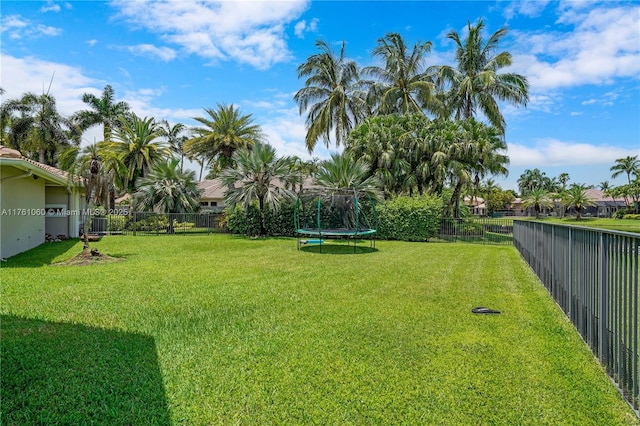 view of yard featuring a trampoline and a fenced backyard