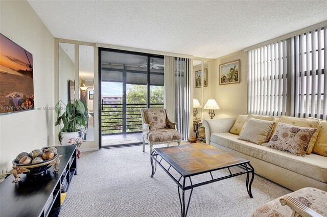 1001 Colony Point Cir Unit 514, Pembroke Pines, FL 33026 - view of carpeted living room