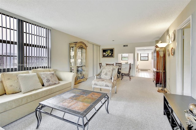 1001 Colony Point Cir Unit 514, Pembroke Pines, FL 33026 - carpeted living room featuring a textured ceiling