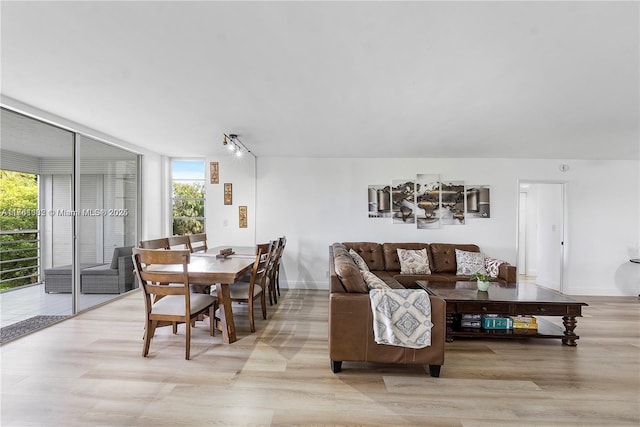 living area featuring a wealth of natural light and light wood-style floors