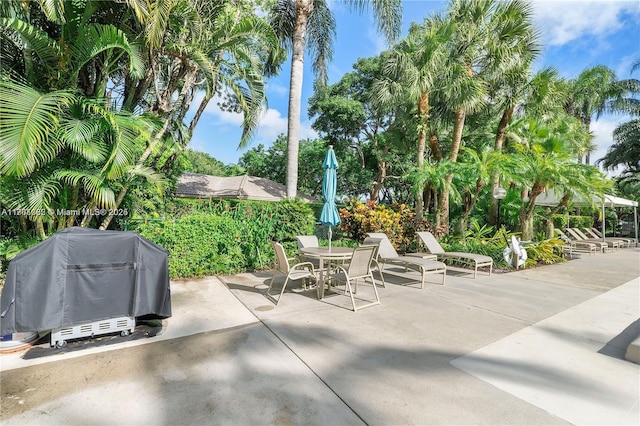 view of patio / terrace with grilling area and outdoor dining space