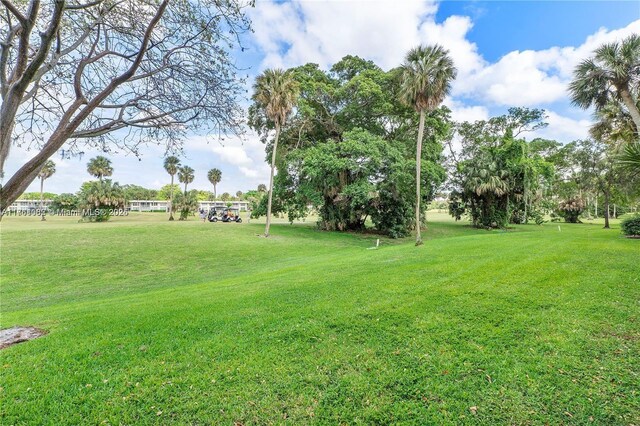 view of green lawn