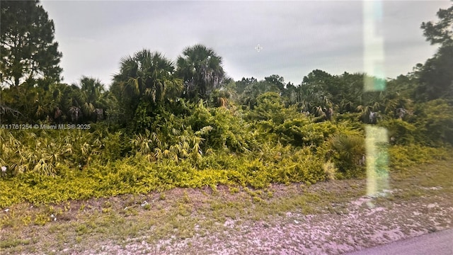 1245 E Cummings St, Lehigh Acres FL, 33974 land for sale