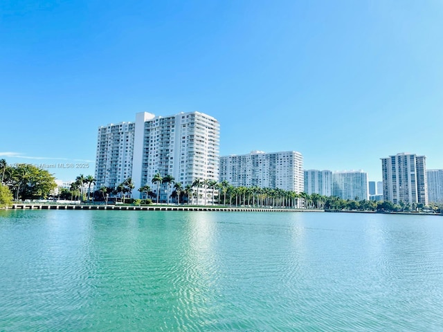 property view of water with a view of city