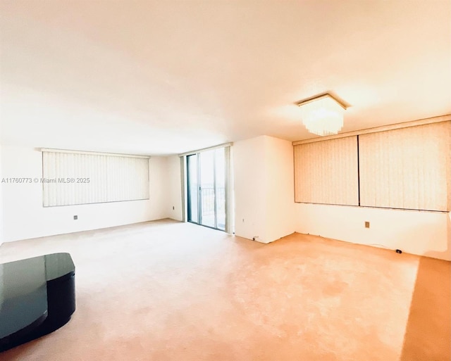 carpeted spare room featuring a wall of windows