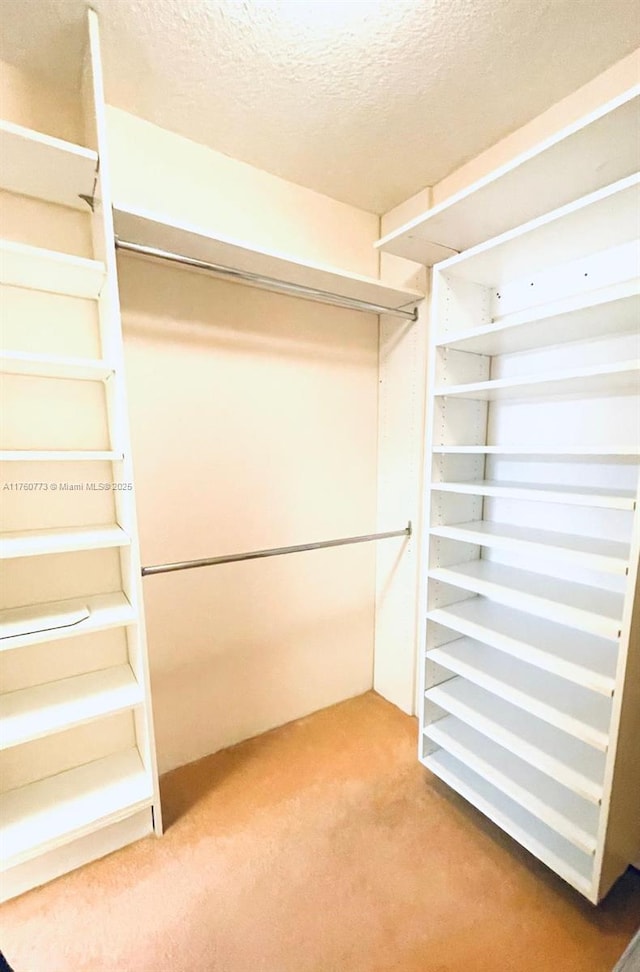 walk in closet featuring carpet floors