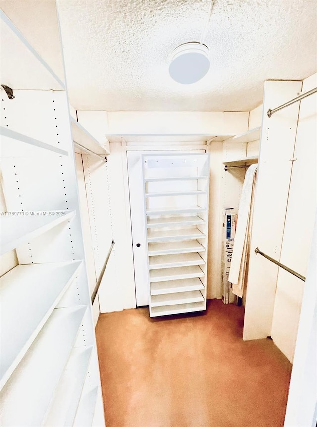 spacious closet with carpet floors