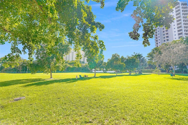 view of community featuring a lawn