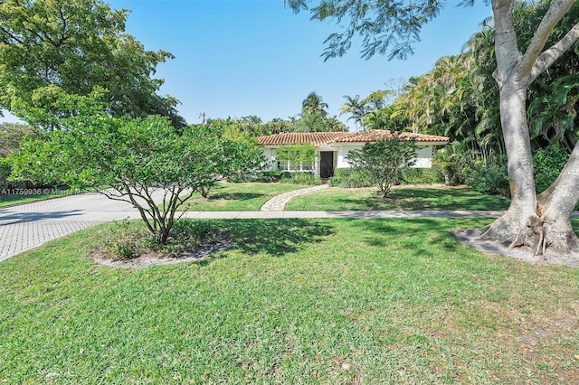 view of yard featuring driveway