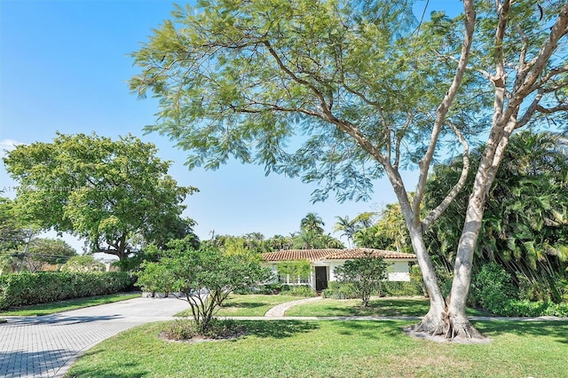 view of property's community with a lawn and driveway