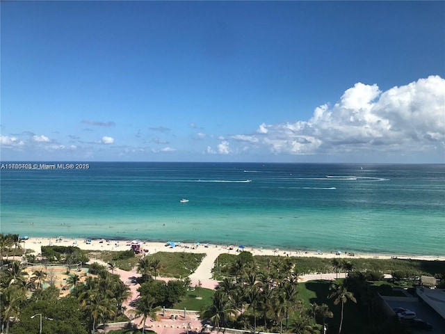 water view featuring a beach view