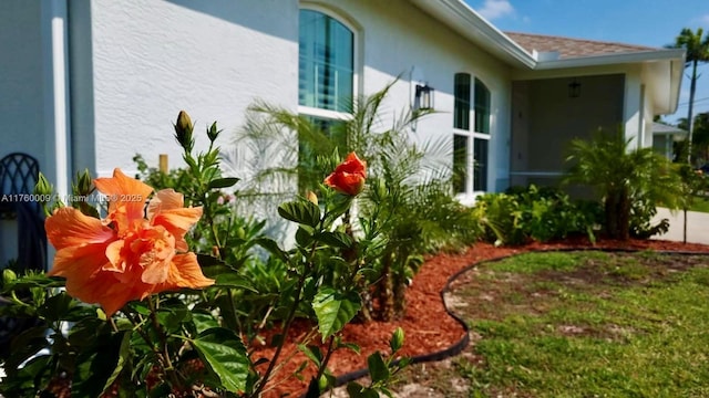 view of home's exterior with stucco siding