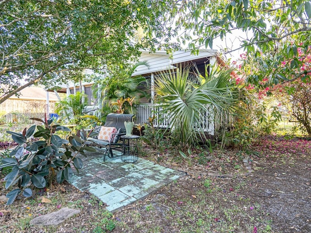 view of yard featuring a patio