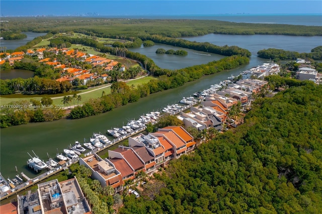 bird's eye view with a water view