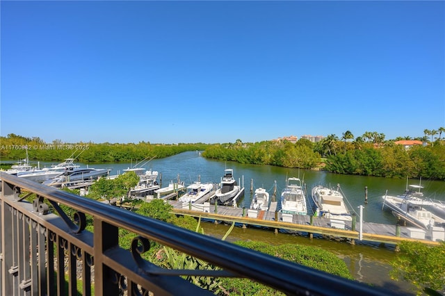 dock area with a water view