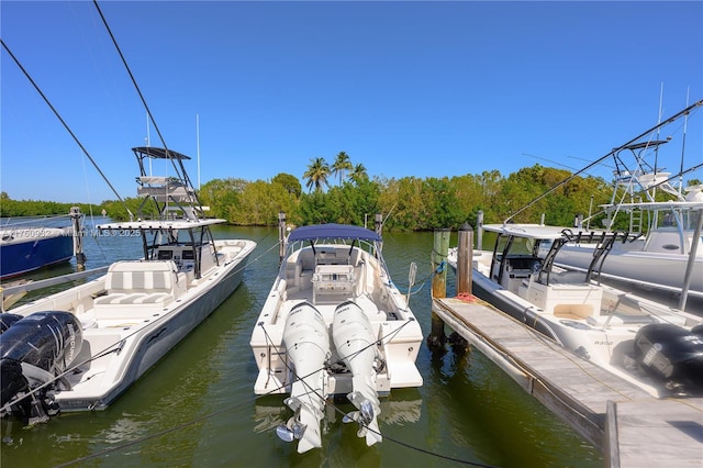 dock area with a water view