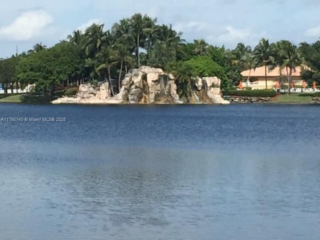 view of water feature
