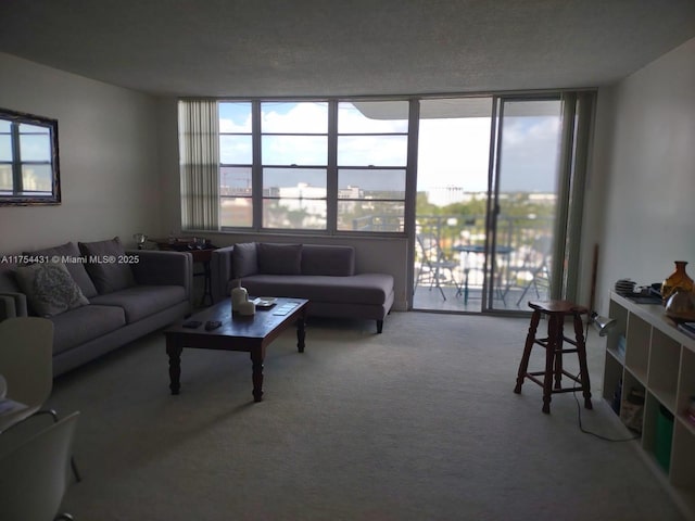 carpeted living area with a wall of windows and a wealth of natural light