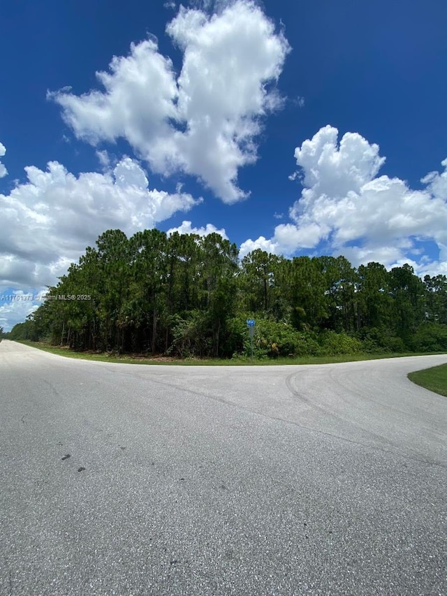 166 Ocean Park Blvd, Lehigh Acres FL, 33972 land for sale